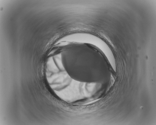 X0000070230023200606161744