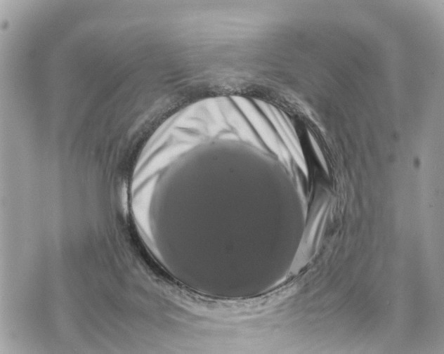 X0000070230027200606161744