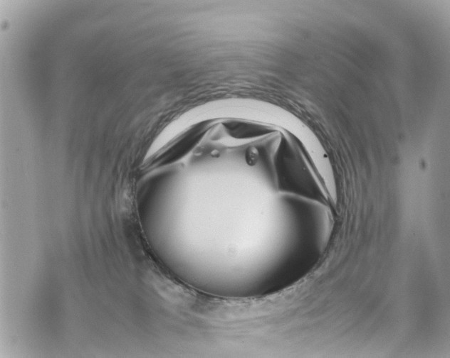 X0000070230037200606161744