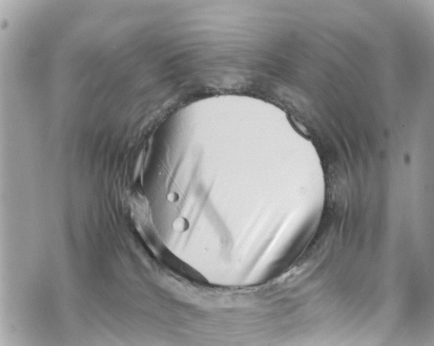 X0000070230040200606161744