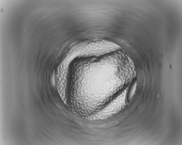 X0000070230046200606161744