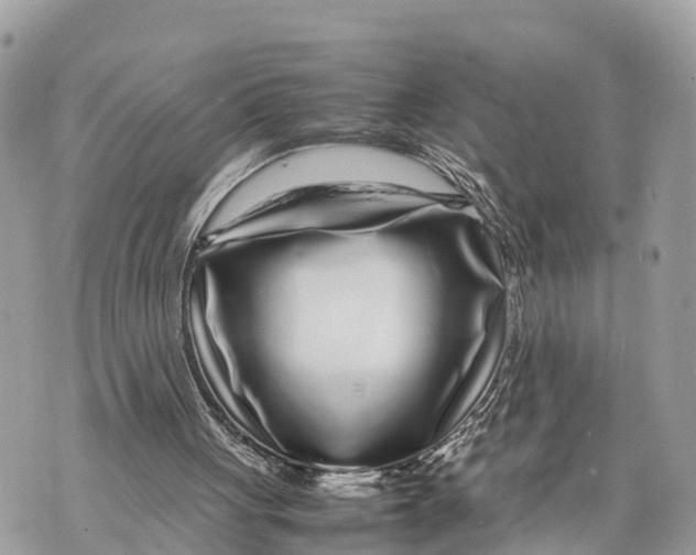 X0000070230051200606161743