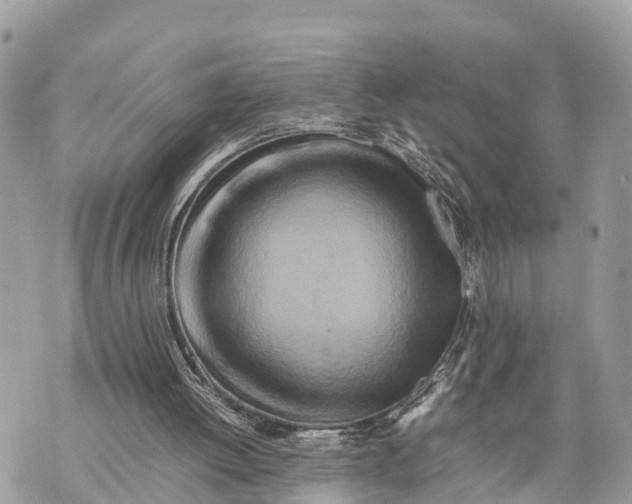 X0000070230052200606161743