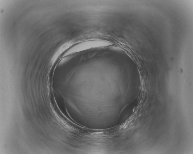 X0000070230054200606161743