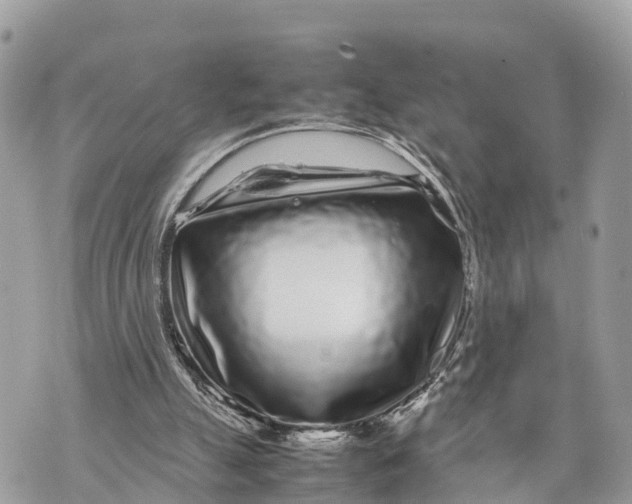 X0000070230055200606161743
