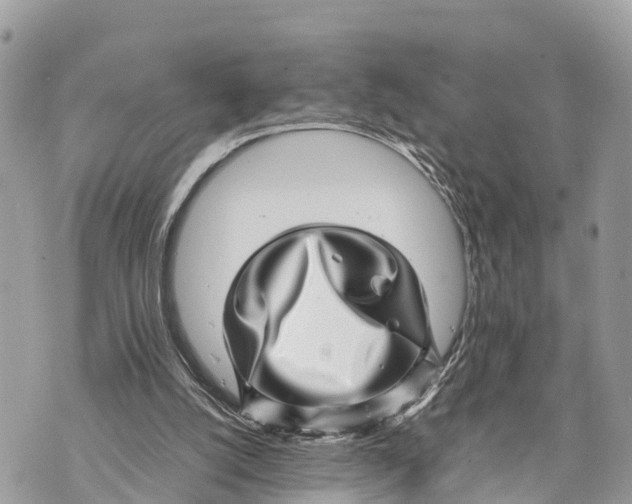 X0000070230056200606161743
