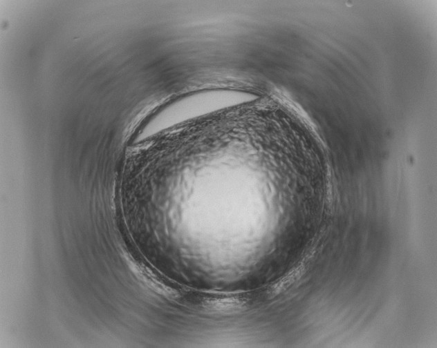 X0000070230058200606161743