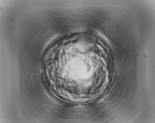 X0000070230059200606161743
