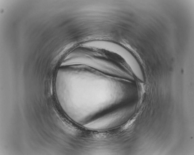 X0000070230062200606161743