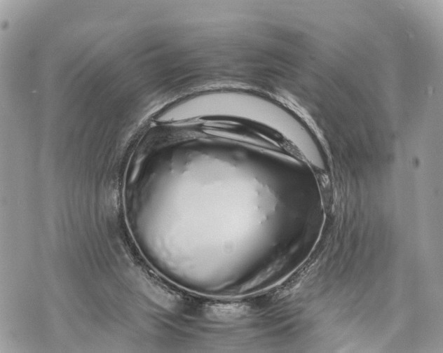 X0000070230063200606161743