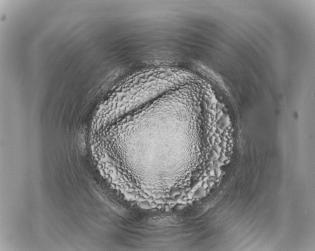 X0000070230065200606161743