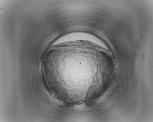 X0000070230066200606161743