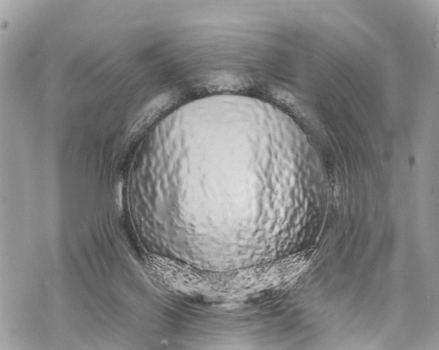 X0000070230070200606161743