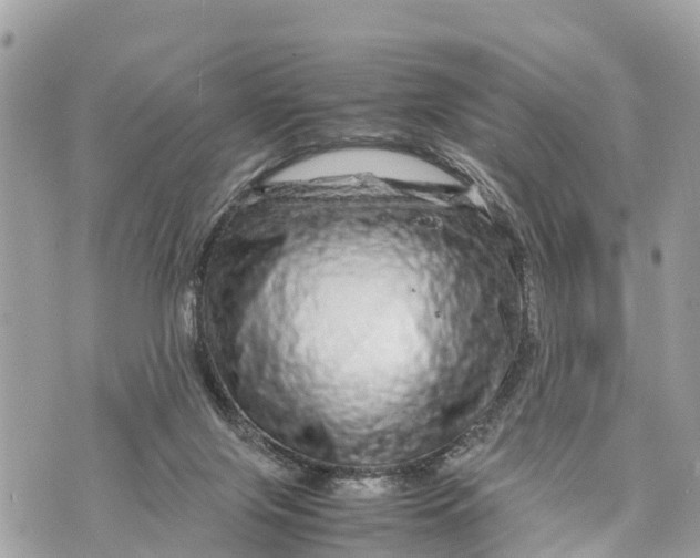 X0000070230071200606161743