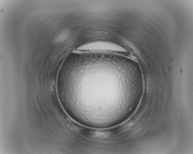 X0000070230073200606161743