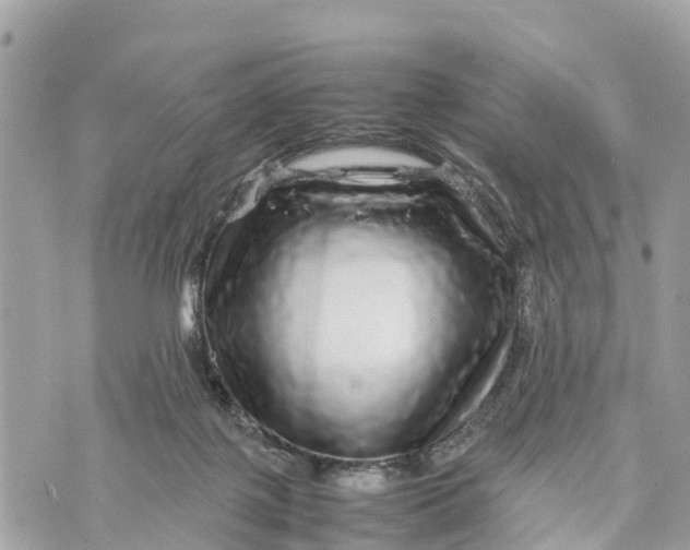 X0000070230075200606161743