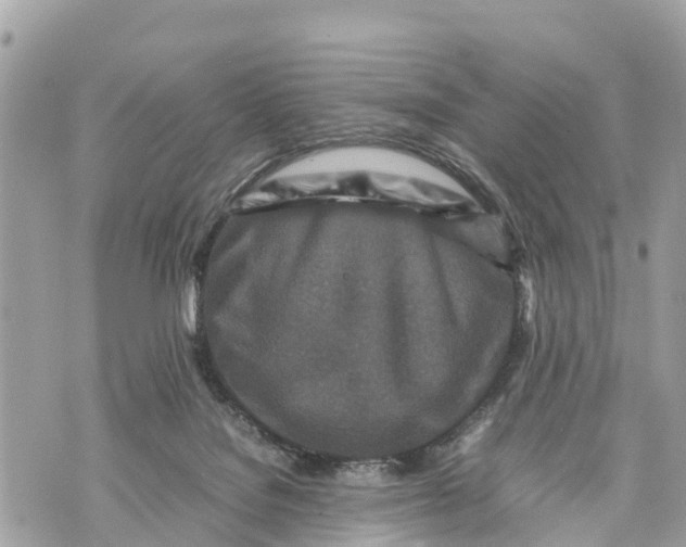 X0000070230076200606161743