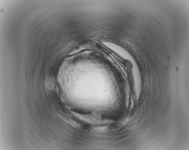 X0000070230081200606161743