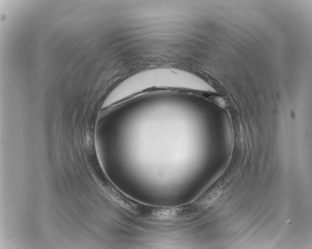 X0000070230084200606161743