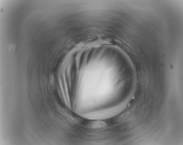 X0000070230087200606161743