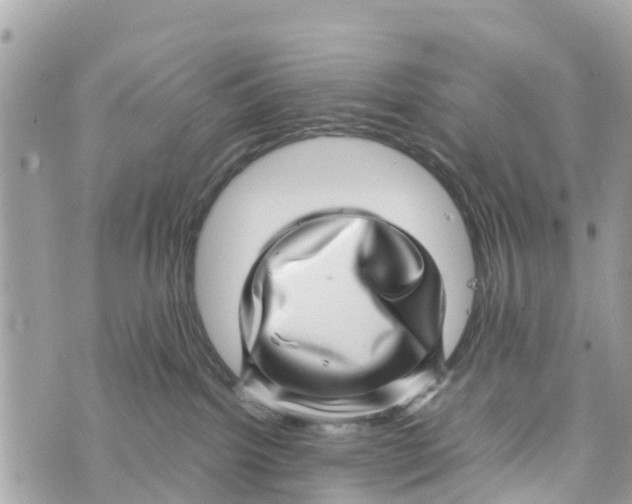 X0000070230092200606161744