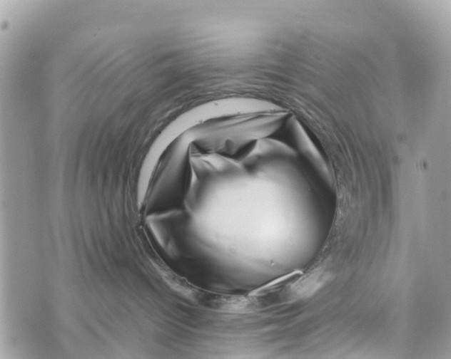 X0000070230096200606161744