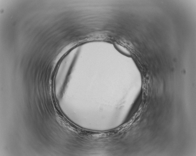 X0000070230100200606161743