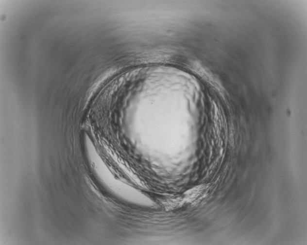 X0000070230107200606161743