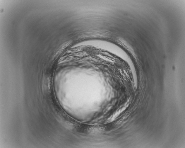 X0000070230115200606161743