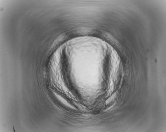 X0000070230119200606161743