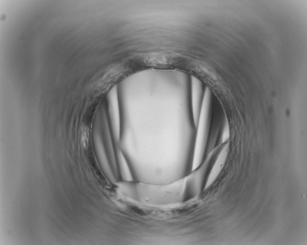 X0000070230125200606161742