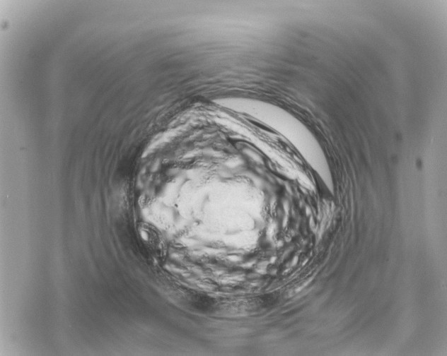 X0000070230127200606161742