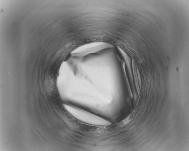 X0000070230130200606161742