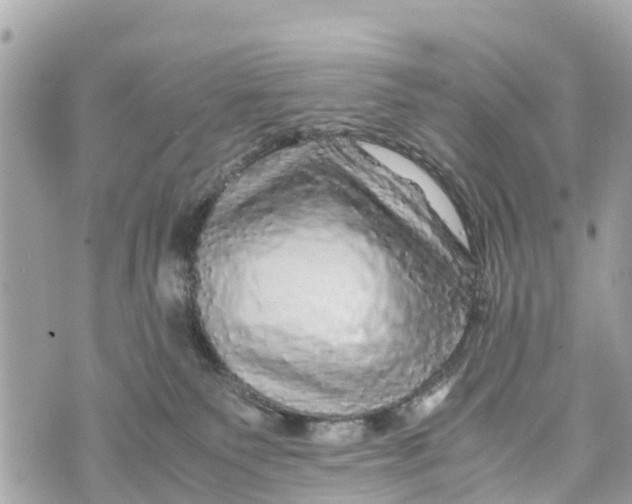 X0000070230135200606161742