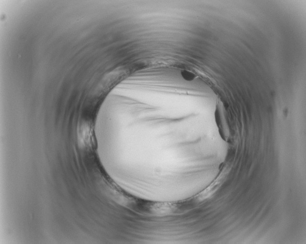X0000070230142200606161742