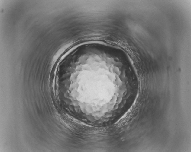 X0000070230147200606161741