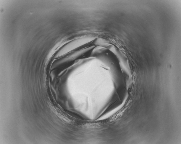 X0000070230150200606161741