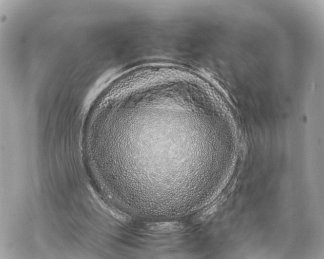 X0000070230151200606161741