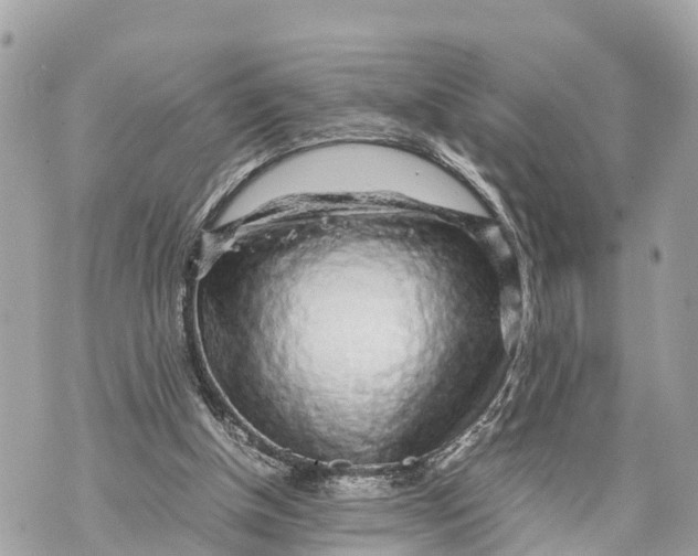 X0000070230154200606161741