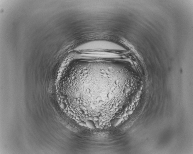 X0000070230161200606161742