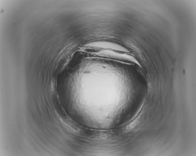 X0000070230166200606161742