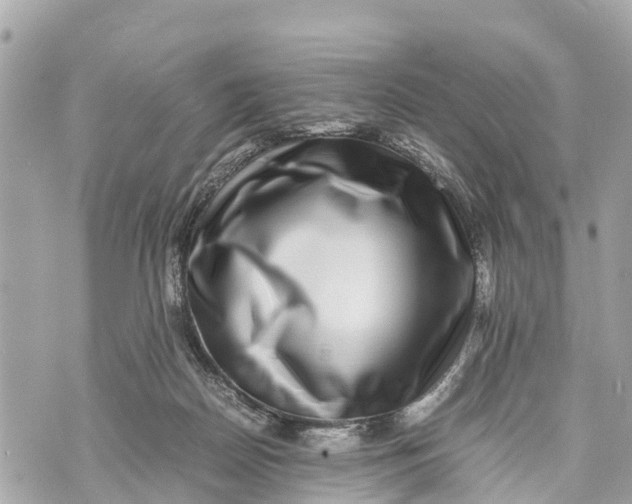 X0000070230170200606161742