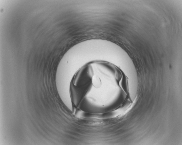 X0000070230186200606161742