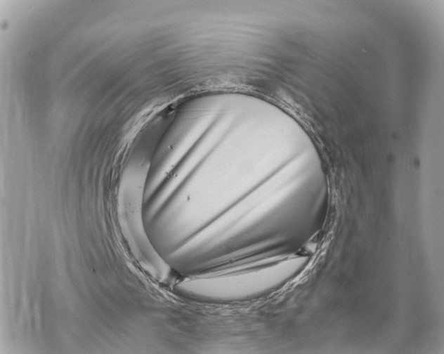 X0000070230193200606161741