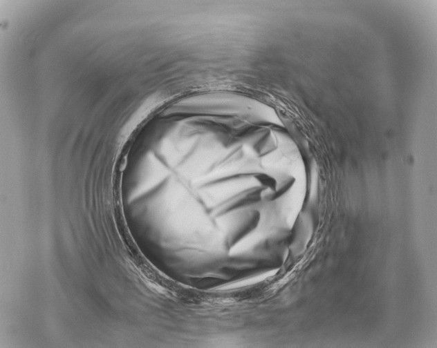 X0000070230195200606161741