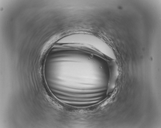 X0000070230197200606161741