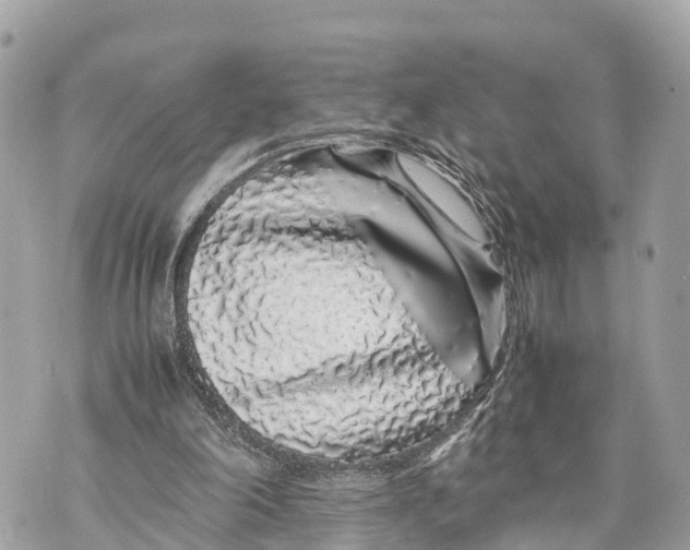 X0000070230198200606161741