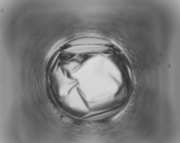 X0000070230199200606161741