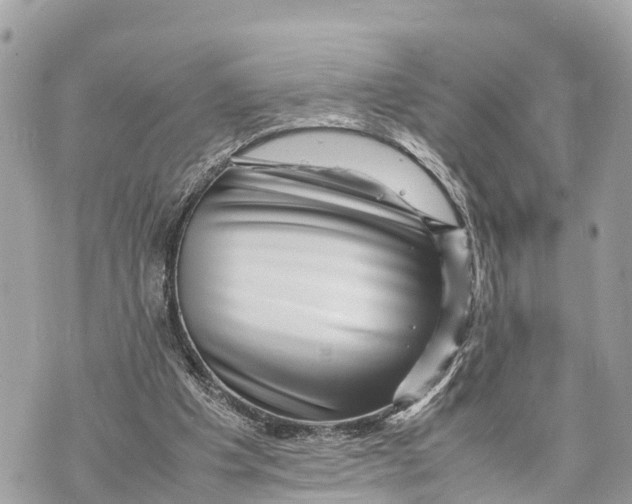 X0000070230201200606161741