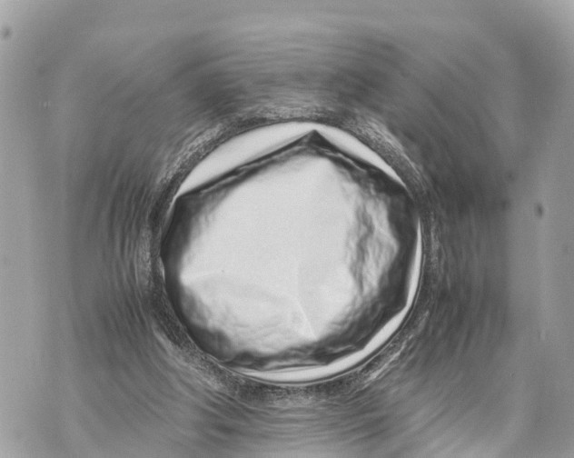 X0000070230202200606161741